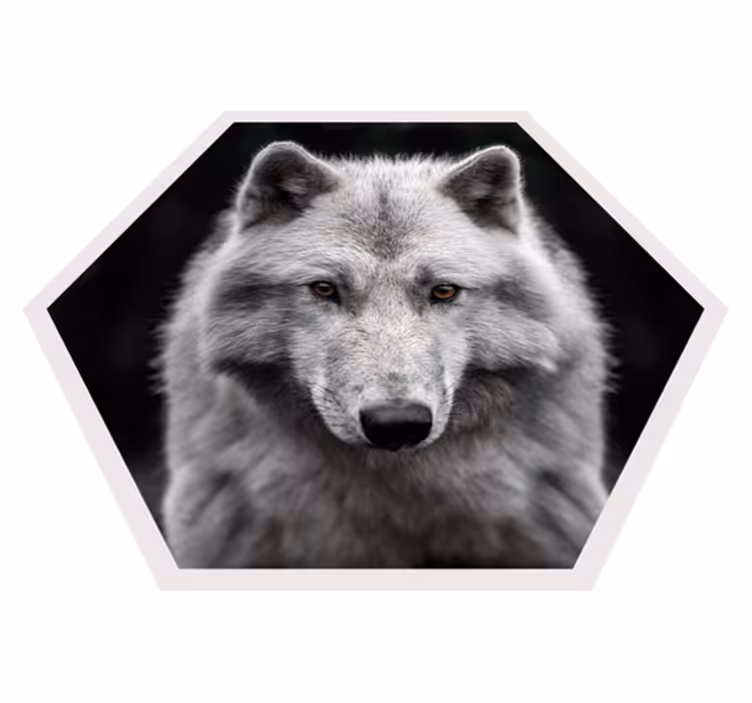 Lup alfa pe covor negru pentru animale - TenStickers