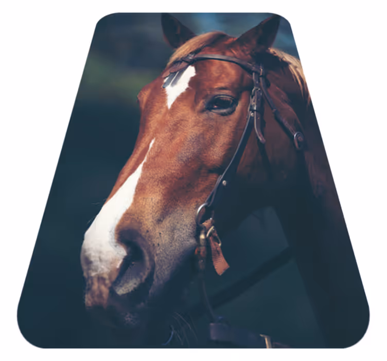 Cap de cal covor frumos de animale - TenStickers