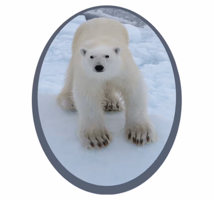 Urs polar în covorul animalelor de zăpadă - TenStickers