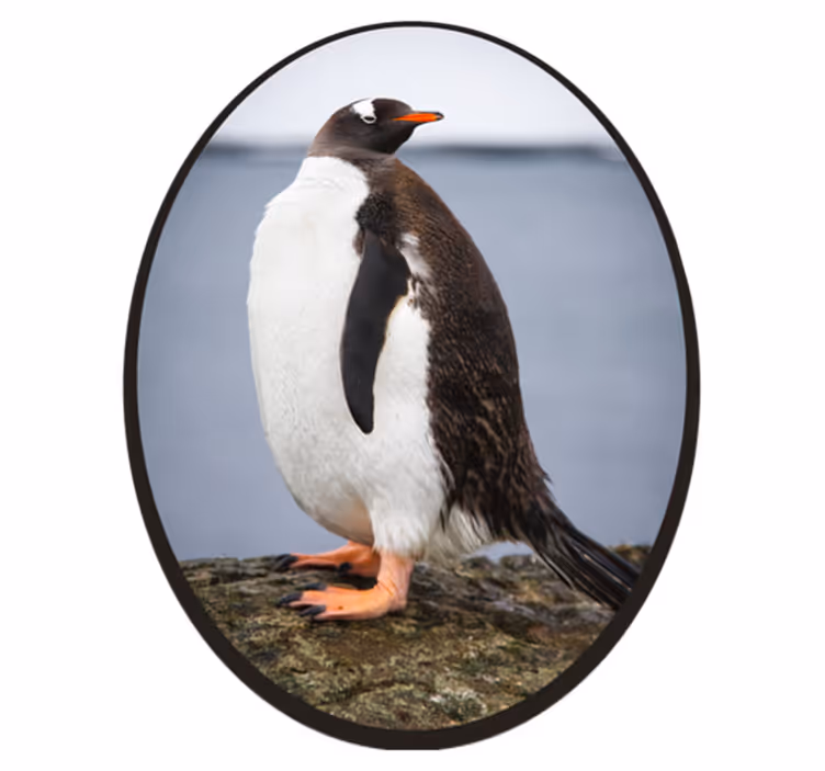 Covor vinil animal poziția pinguinului - TenStickers
