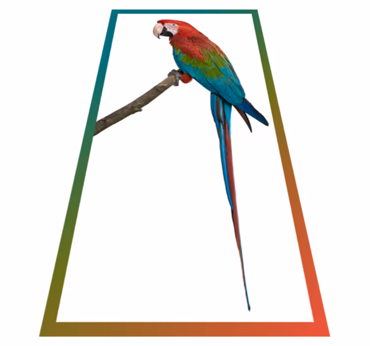 Covor profil papagal animal - TenStickers