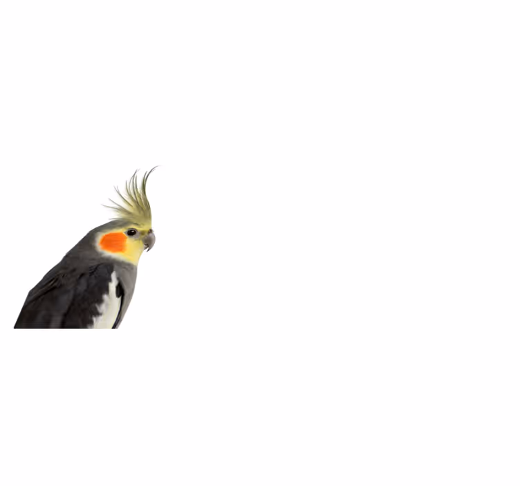Covor vinil animal siluetă de cocoșită - TenStickers