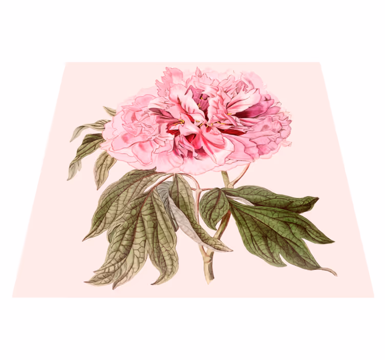Covor vinil flori și plante floare de bujor roz - TenStickers