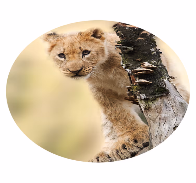 Covor de vinil pentru animale leu drăguț - TenStickers
