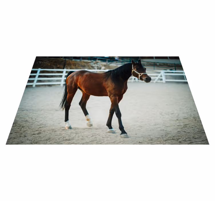 Covor vinil animal portret de cal maiestuos - TenStickers
