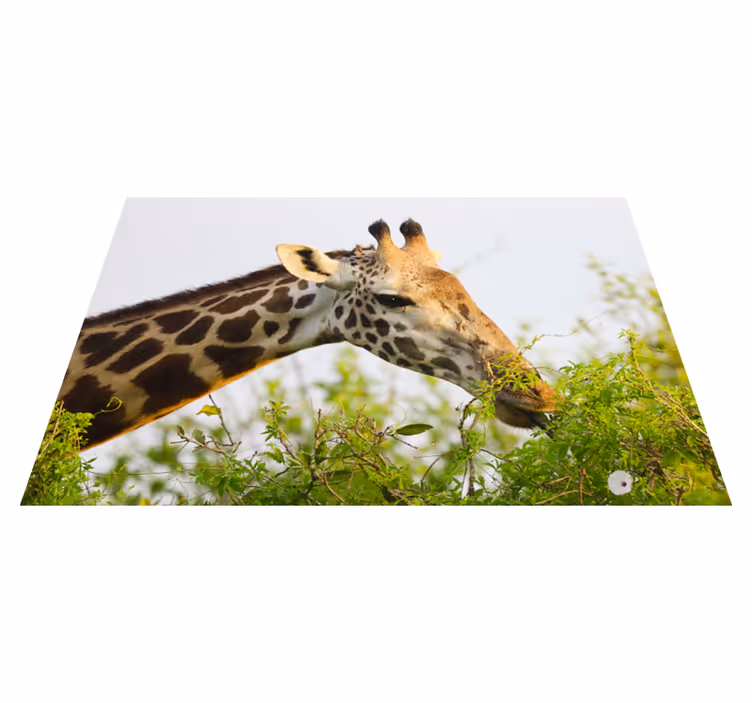 Covor de vinil animal girafa inalta - TenStickers