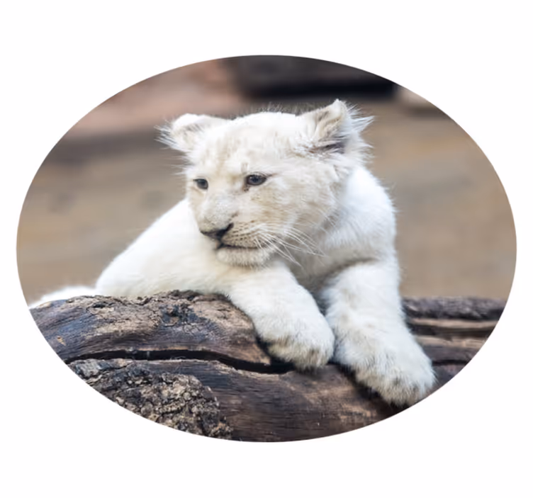 Covor drăguț de pui de leu alb de animale - TenStickers