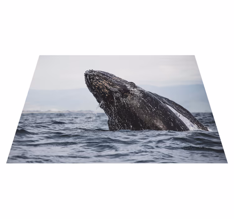 Covor vinil cu aspect de natura saltul maiestuos al balenei - TenStickers