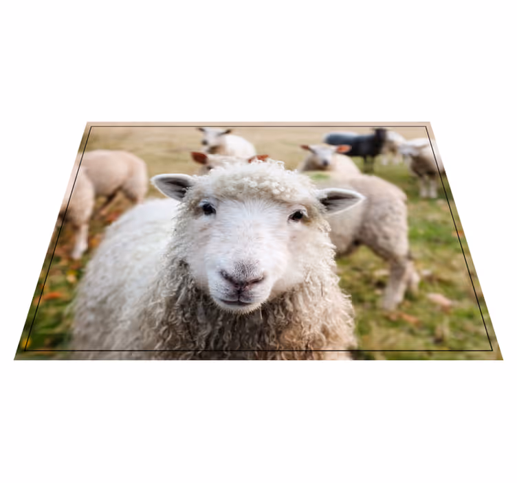 Animale oi covor decor animal - TenStickers