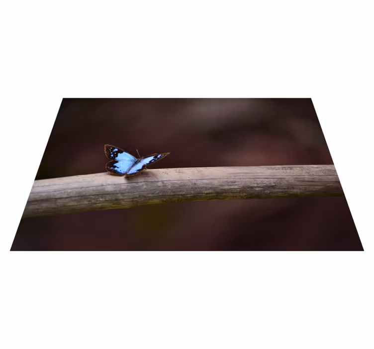Covor vinil cu aspect de natura fluture pe ramură - TenStickers
