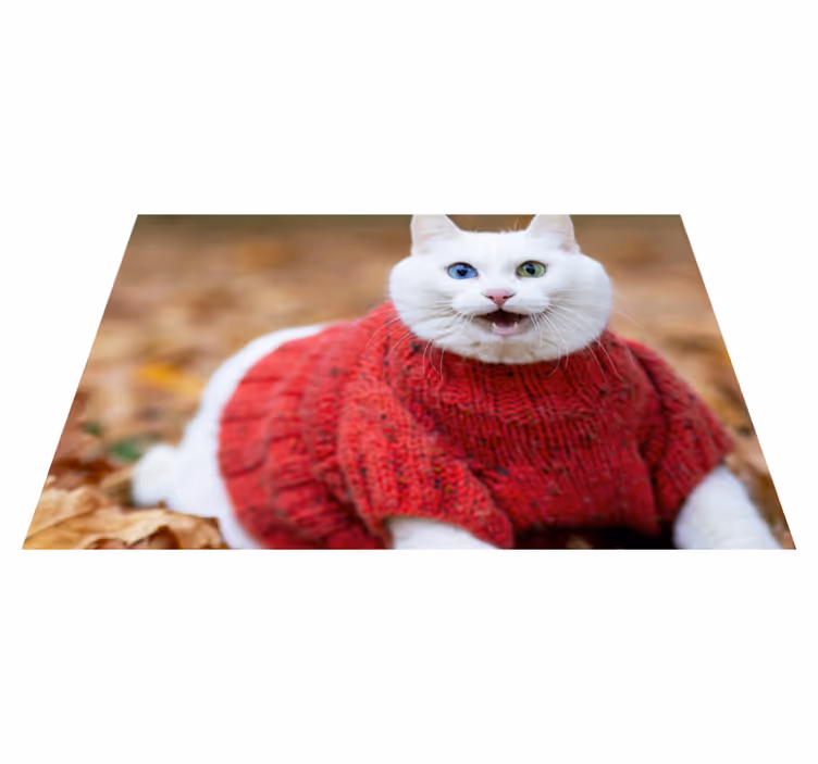 Covor vinil animal pulover cu pisică jucăușă - TenStickers