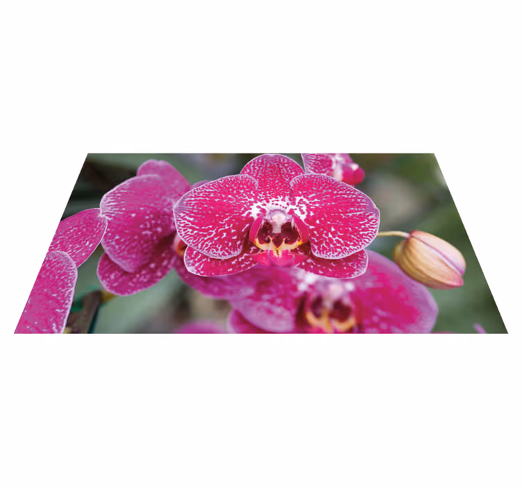 Covor violet orhidee violet closeup - TenStickers