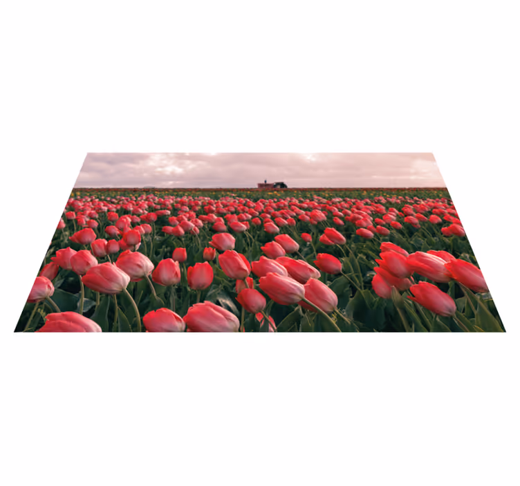 Covor din vinil floral cu câmp de lalele roz roșu - TenStickers