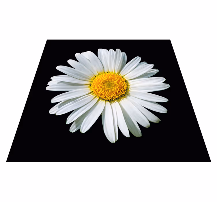 Covor vinil flori și plante floare de margaretă - TenStickers