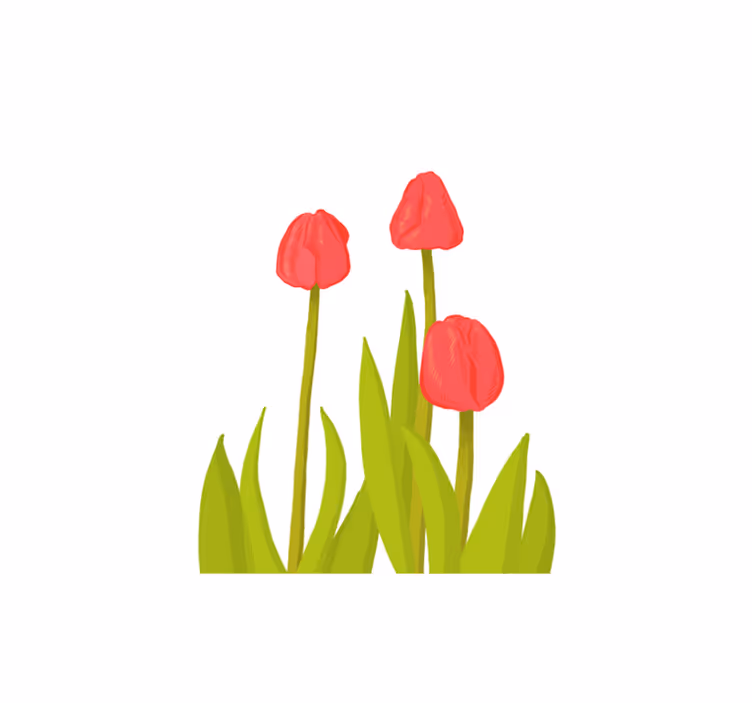 Covor vinil flori și plante floare vibrantă de lalele - TenStickers