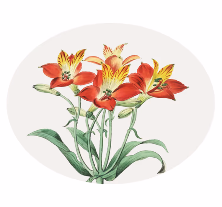 Covor vinil flori și plante flori roșii strălucitoare - TenStickers