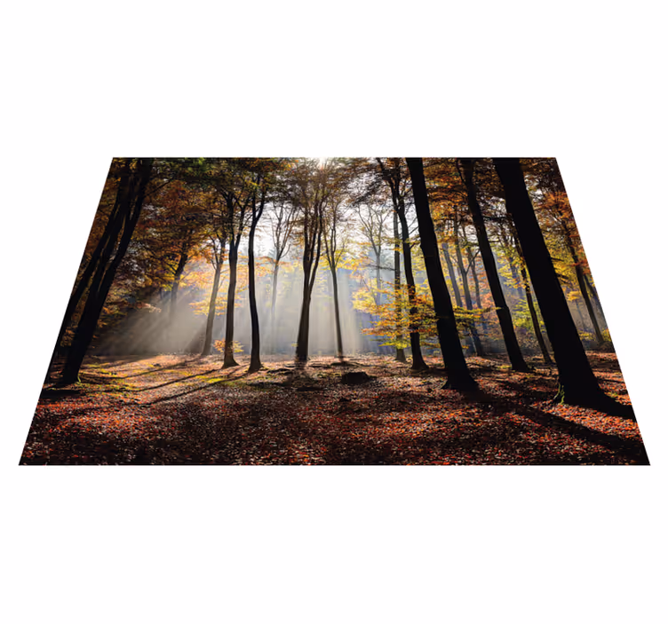 Covor vinil cu aspect de natura liniștea pădurii - TenStickers