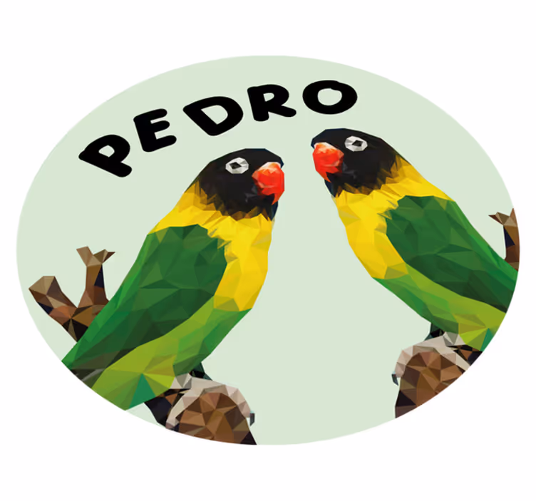 Covor de vinil cu nome păsări de dragoste personalizabile - TenStickers