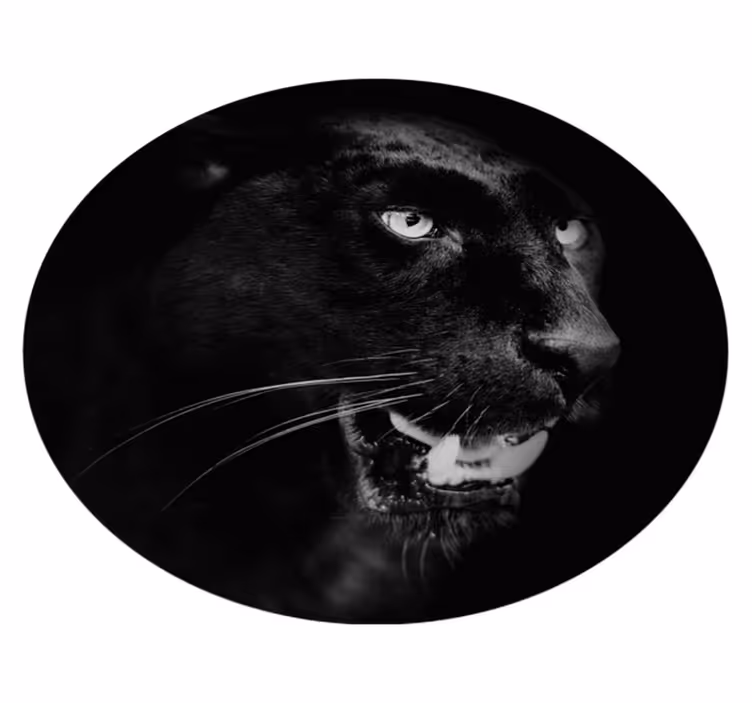 Portret pantera neagră animal mat - TenStickers