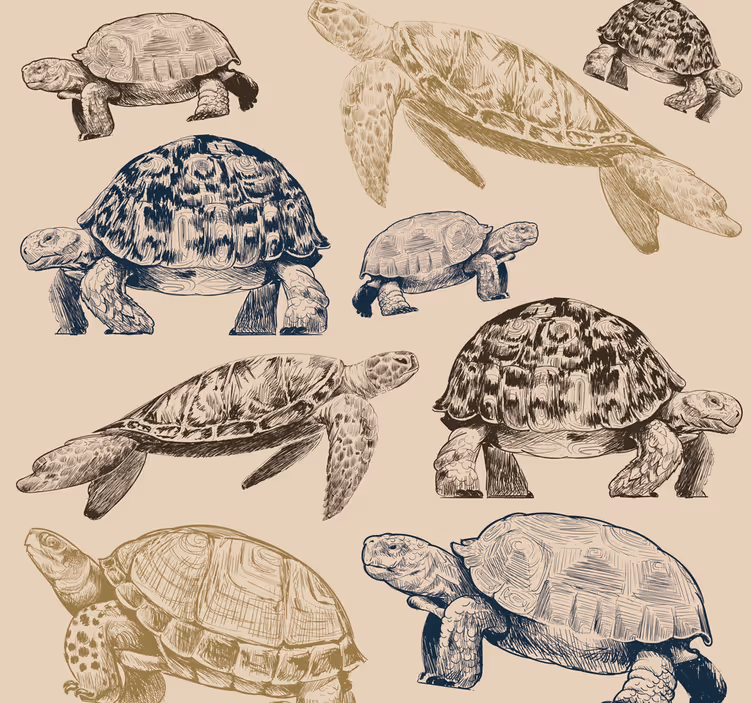 Tapet de animale colecție de broaște țestoase - TenStickers