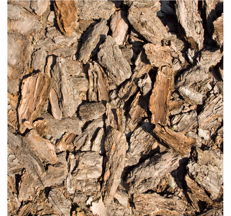 Tapet ornamental scoarță de copac rustică maro - TenStickers
