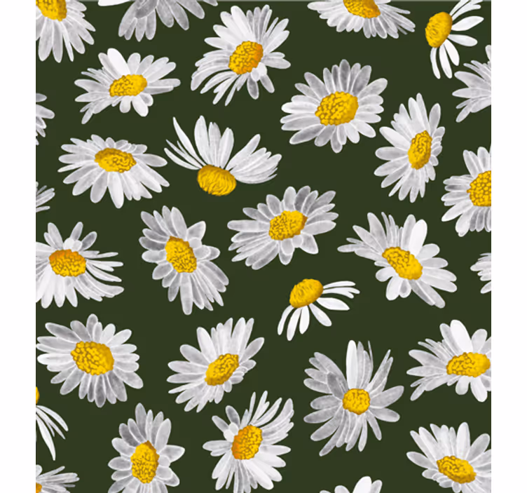 Tapet natura câmp cu margarete - TenStickers