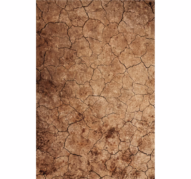 Tapet textură efect de eroziune crăpat arid - TenStickers