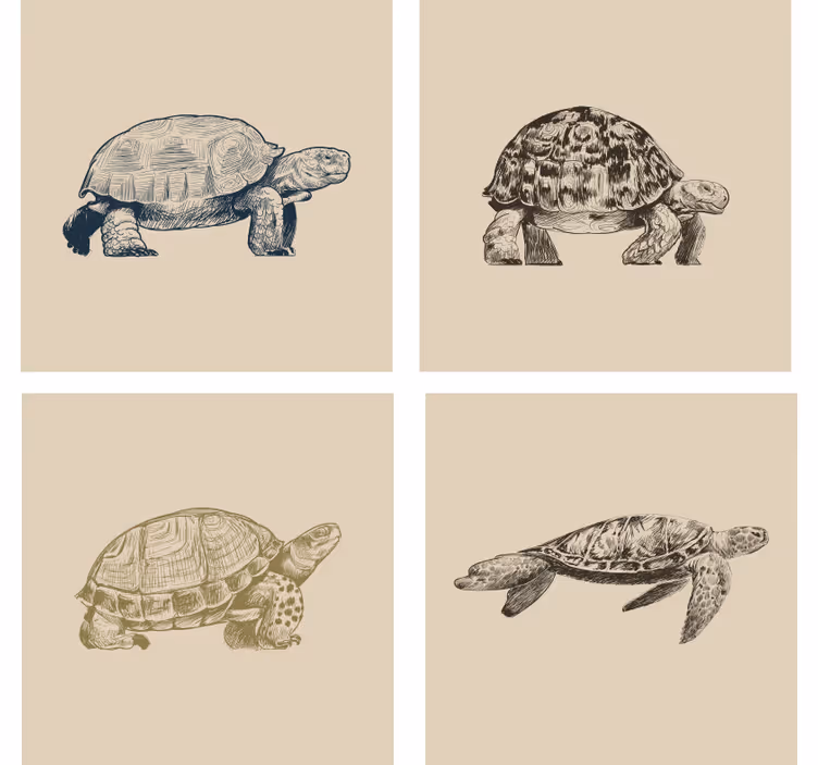 Tapet vintage cu fundal bej și broaște țestoase - TenStickers