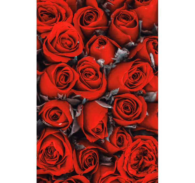 Tapet flori trandafiri roșii romantici - TenStickers