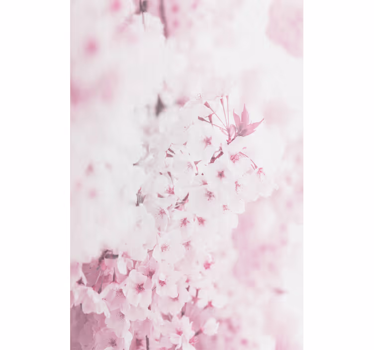 Tapet flori fundal flori roz deschis - TenStickers