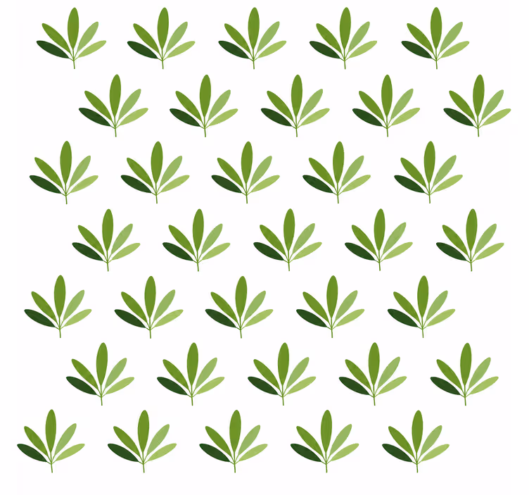 Tapet de frunze palmier dulce - TenStickers
