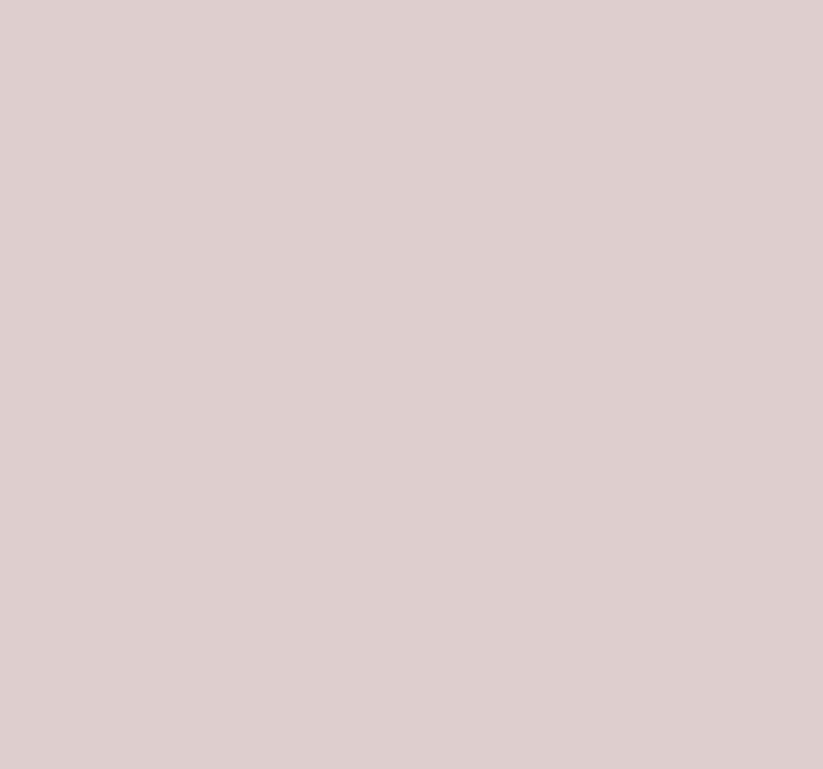 Tapet camera de zi gri pastel - TenStickers