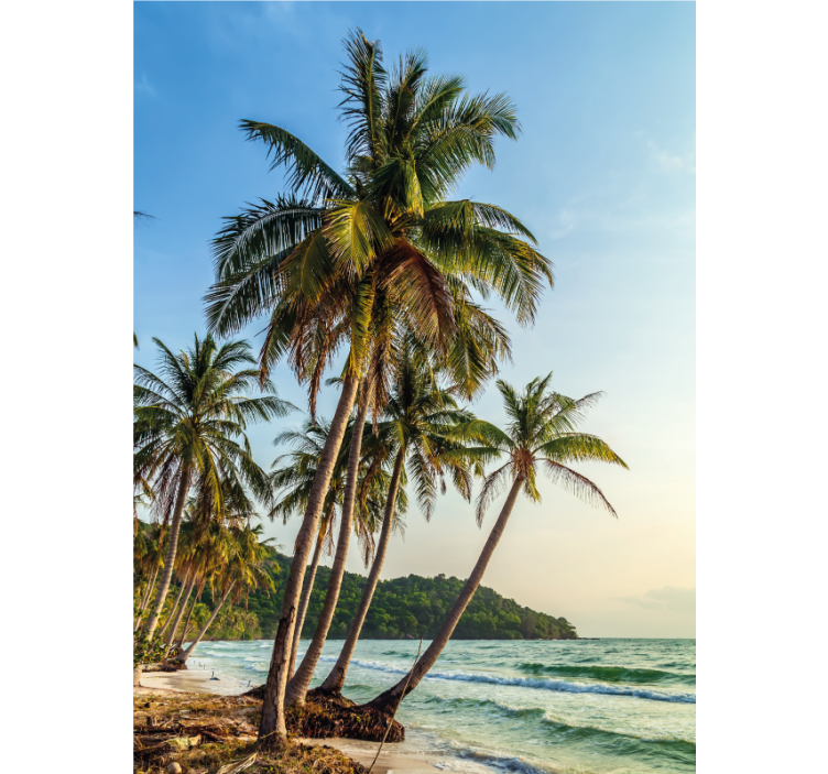 Rulou geam baie palmieri pe plajă - TenStickers