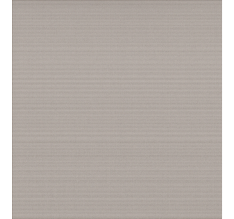 Rulou geam tineret culoare gri simplă - TenStickers