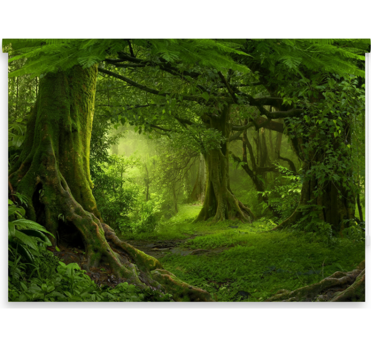 Rulou geam copaci evadare în pădure luxuriantă - TenStickers