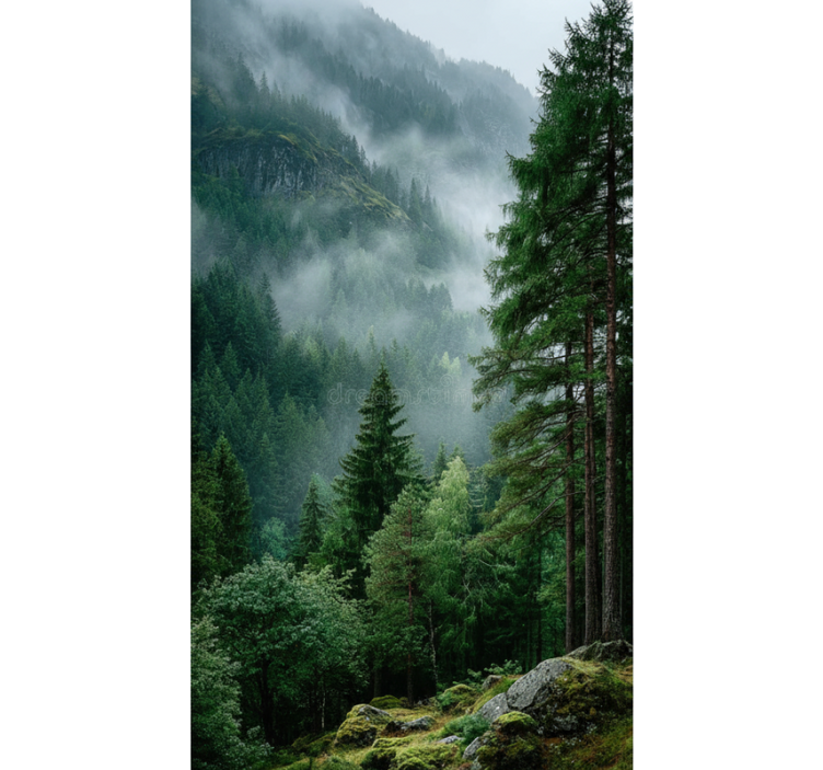 Rulou geam copaci alegerea melancolică - TenStickers