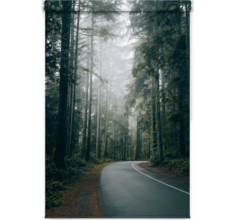 Rulou geam copaci drum de pini cețoși - TenStickers