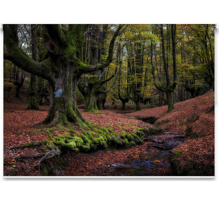 Rulou geam copaci pădurea fermecată de toamnă - TenStickers