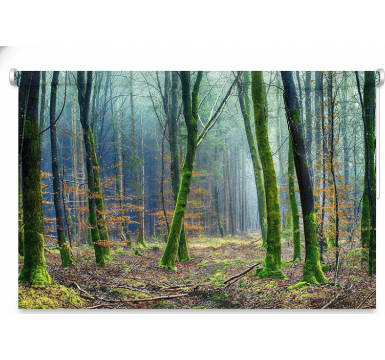 Rulou geam copaci pădurea cețoasă japandi - TenStickers