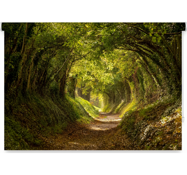 Rulou geam copaci tapet pădure imersiv - TenStickers