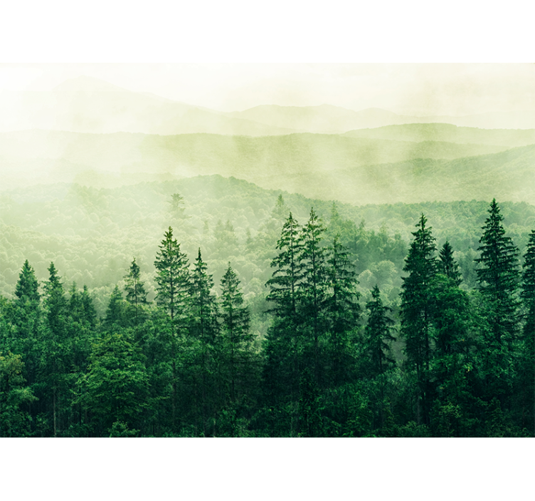 Rulou geam bucătărie vârfuri de copaci din pădure verde - TenStickers