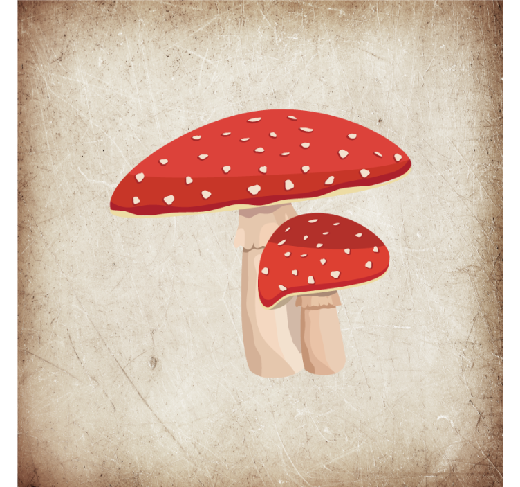 Rulou geam bucătărie ilustrație ciupercă amanita - TenStickers