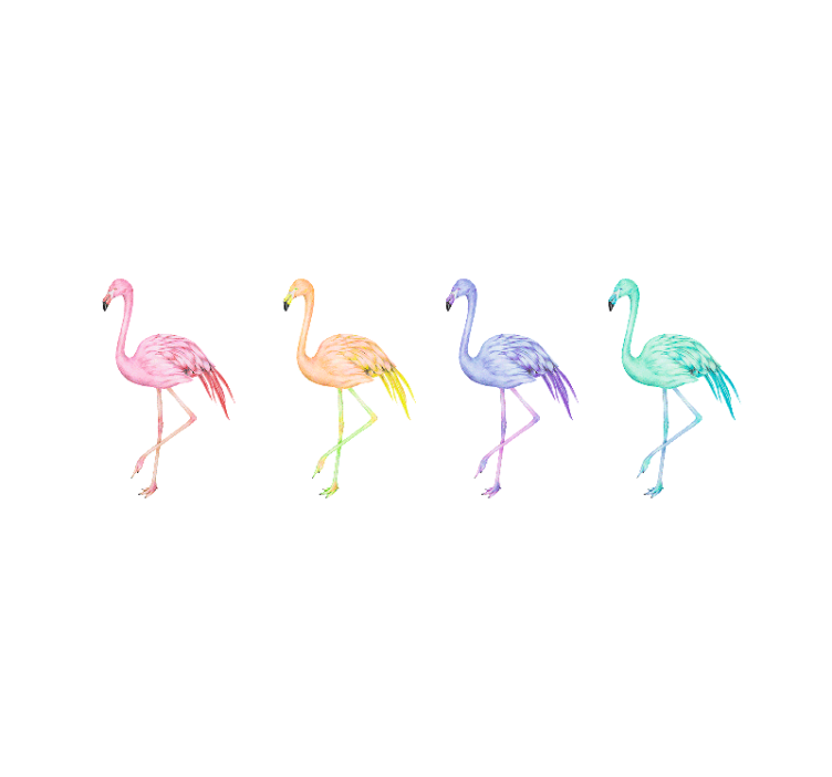 Rulou geam alb cu flamingo colorat fără cusături - TenStickers