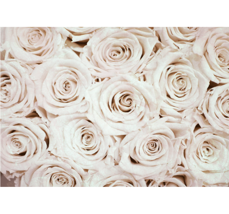 Rulou geam alb cu design elegant de flori roz - TenStickers