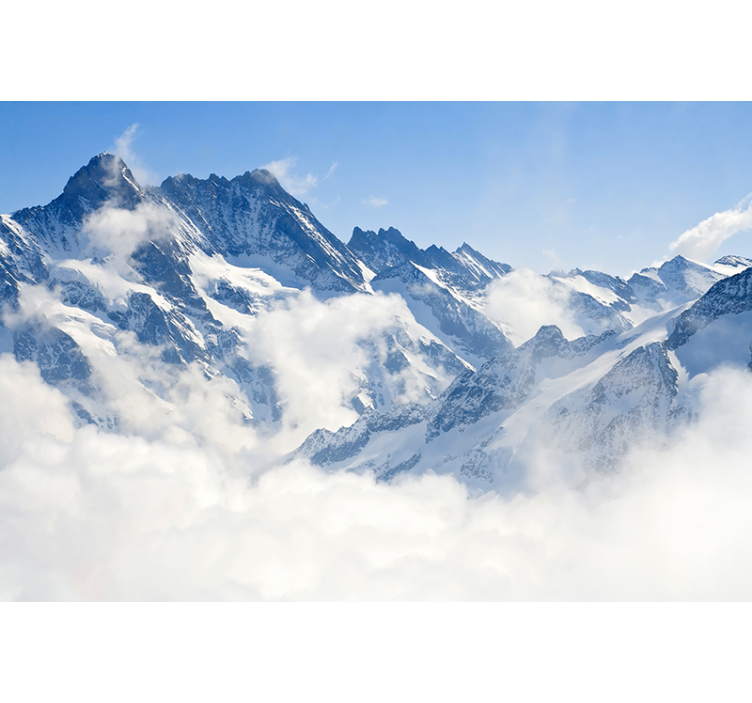 Rulou geam alb peisaj alpin - TenStickers