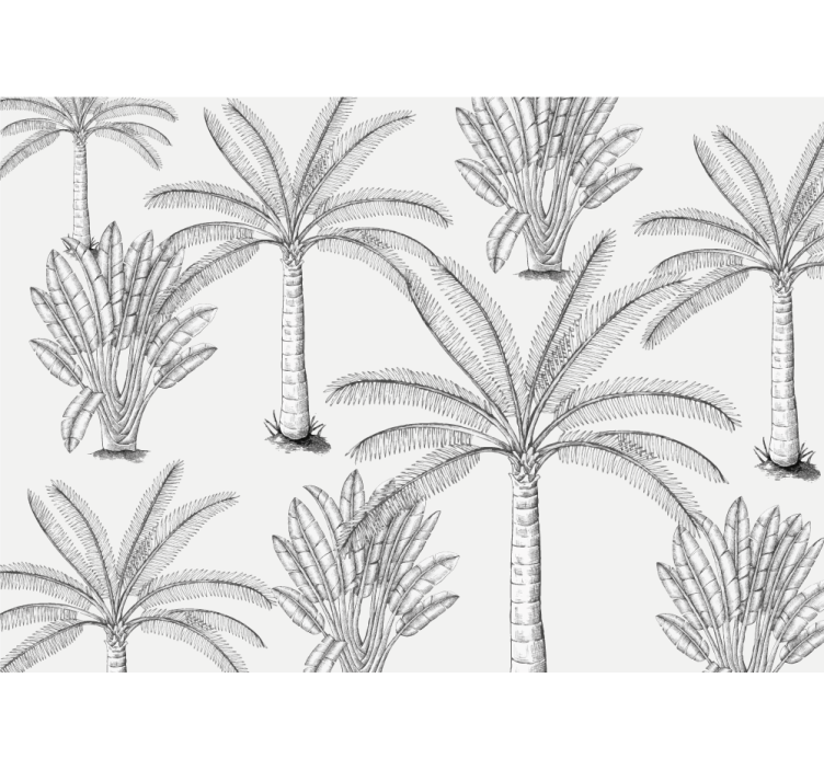 Rulou geam alb design palmierii alb-negru - TenStickers