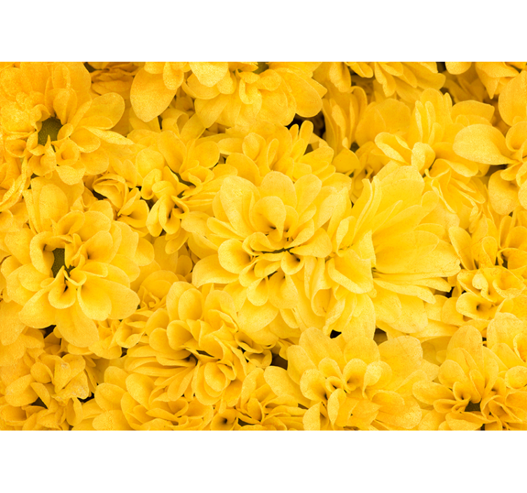 Rulou geam galben petale de floare - TenStickers