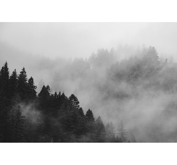 Rulou geam gri pădurea ceață alb-negru - TenStickers
