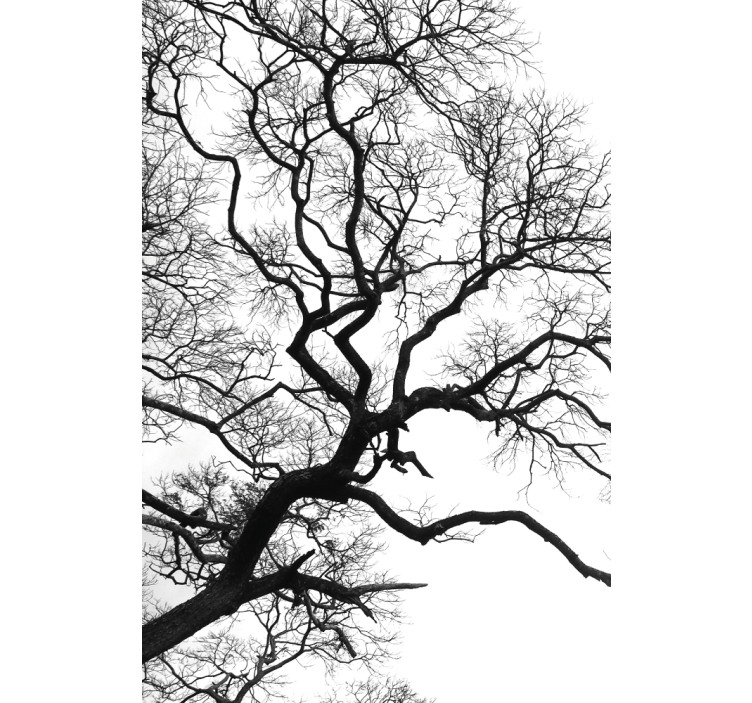 Ruptura de ramuri de lemn singure vopsire oarba - TenStickers