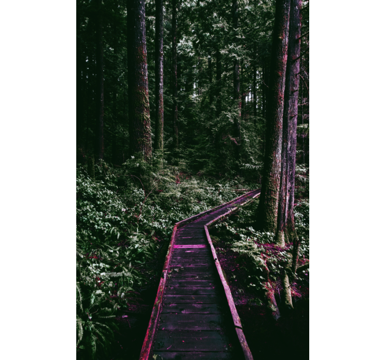 Rulou geam copaci potecă forestieră - TenStickers